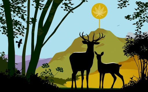 Best place to smoke a joint: California