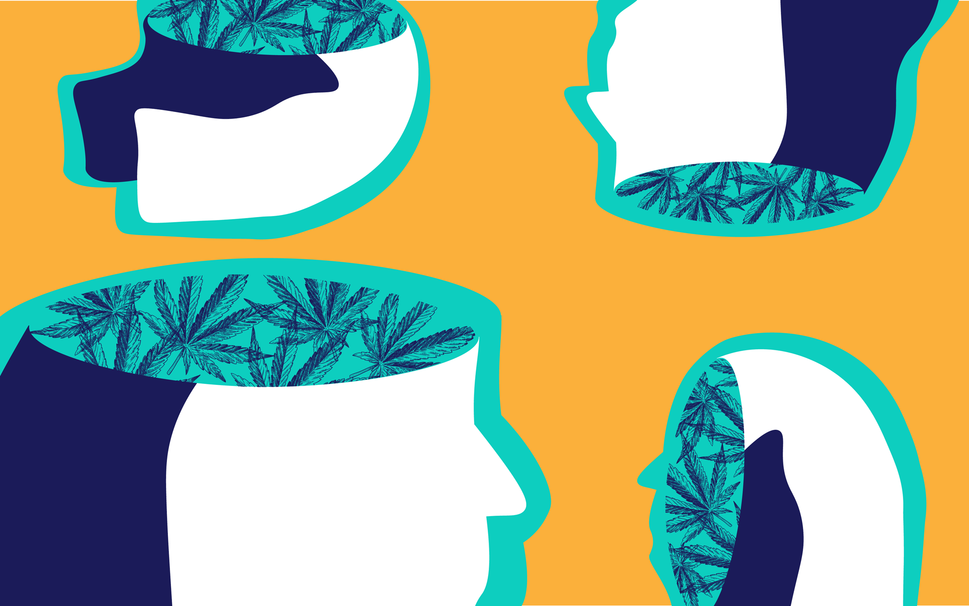 CBD vs. THC: What’s the difference? image