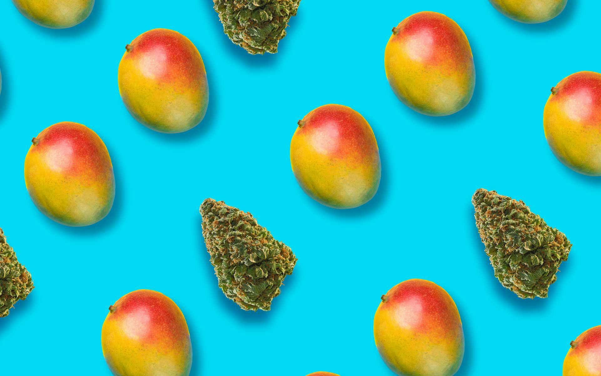 Cannabis Strains That Taste Like Mango Leafly