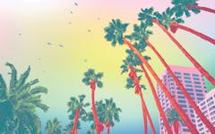 los angeles social equity cannabis licensing header