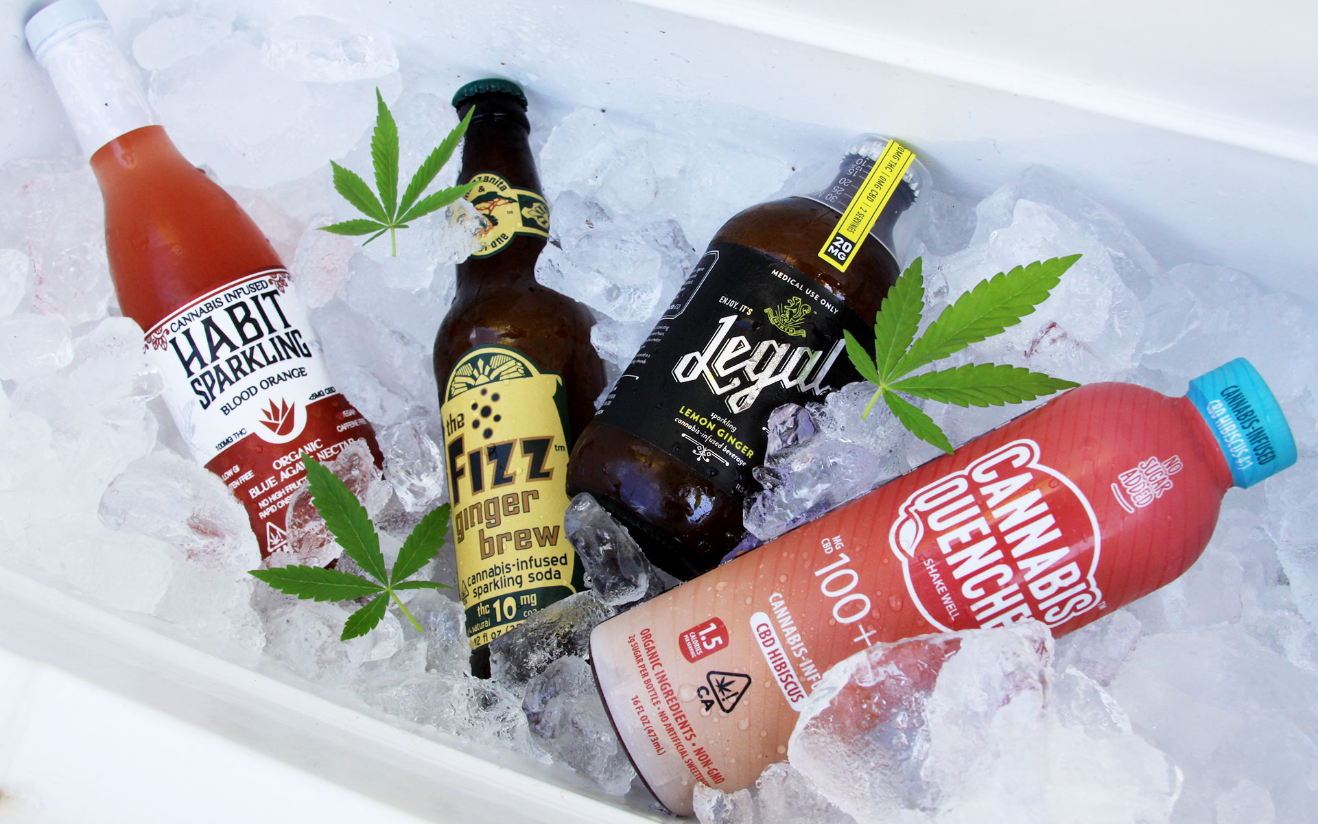 STAY COOL - CBD DRINKS