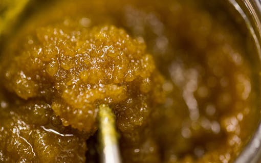 Chunks of THCA crystallizing in a Live Resin extract