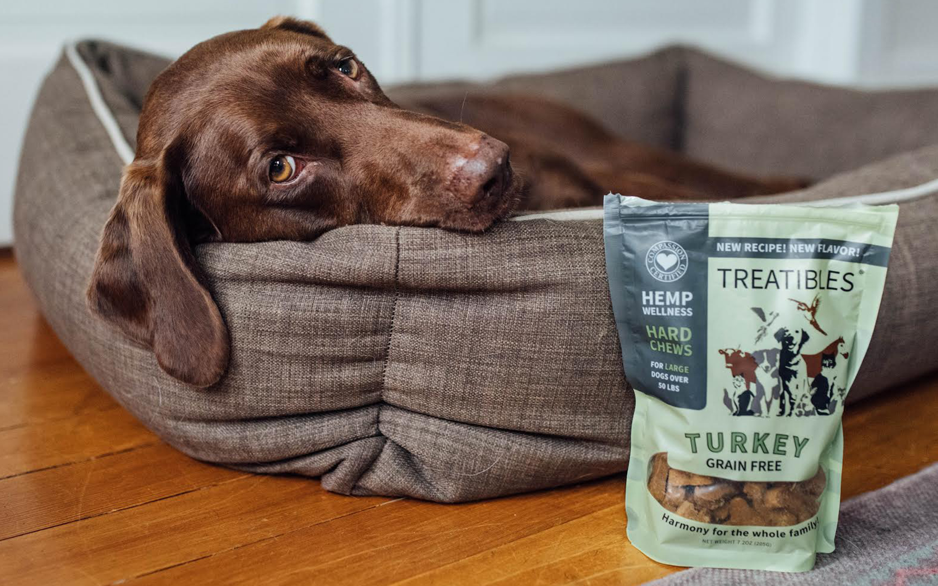 are weed treats good for dogs