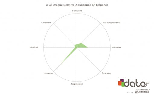 The Top Cannabis Strains and Their Main Terpenes | Leafly