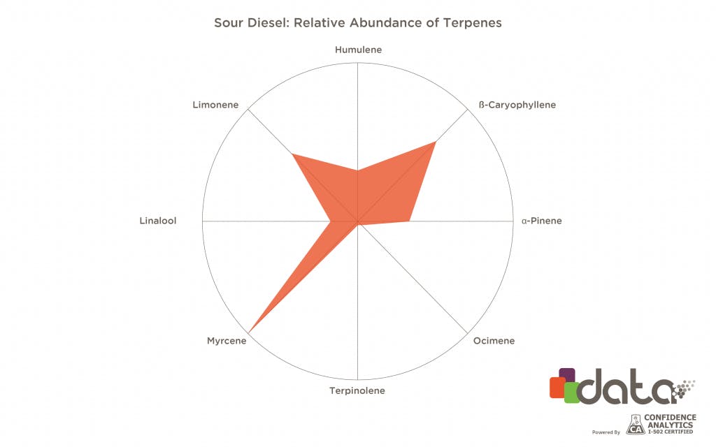 The Top Cannabis Strains and Their Main Terpenes | Leafly