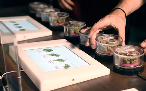 Touch-screen tablets and THC test scores greet L.A. pot shoppers. (Courtesy of Medmen)