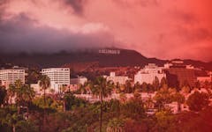 MedMen Los Angeles header