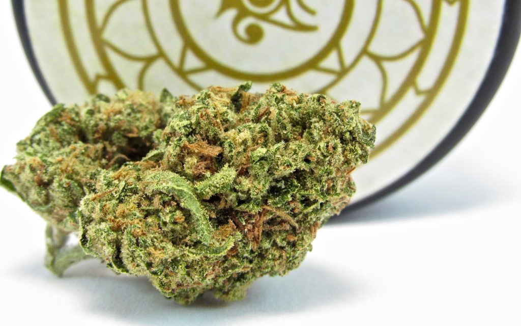 key lkime pie marijuana strain