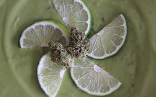 sweet weed strain that tastes like dessert: key lime pie