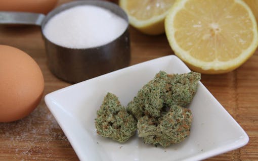sweet weed strain that tastes like dessert: lemon meringue