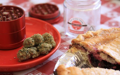 sweet weed strain that tastes like dessert: blueberry pie