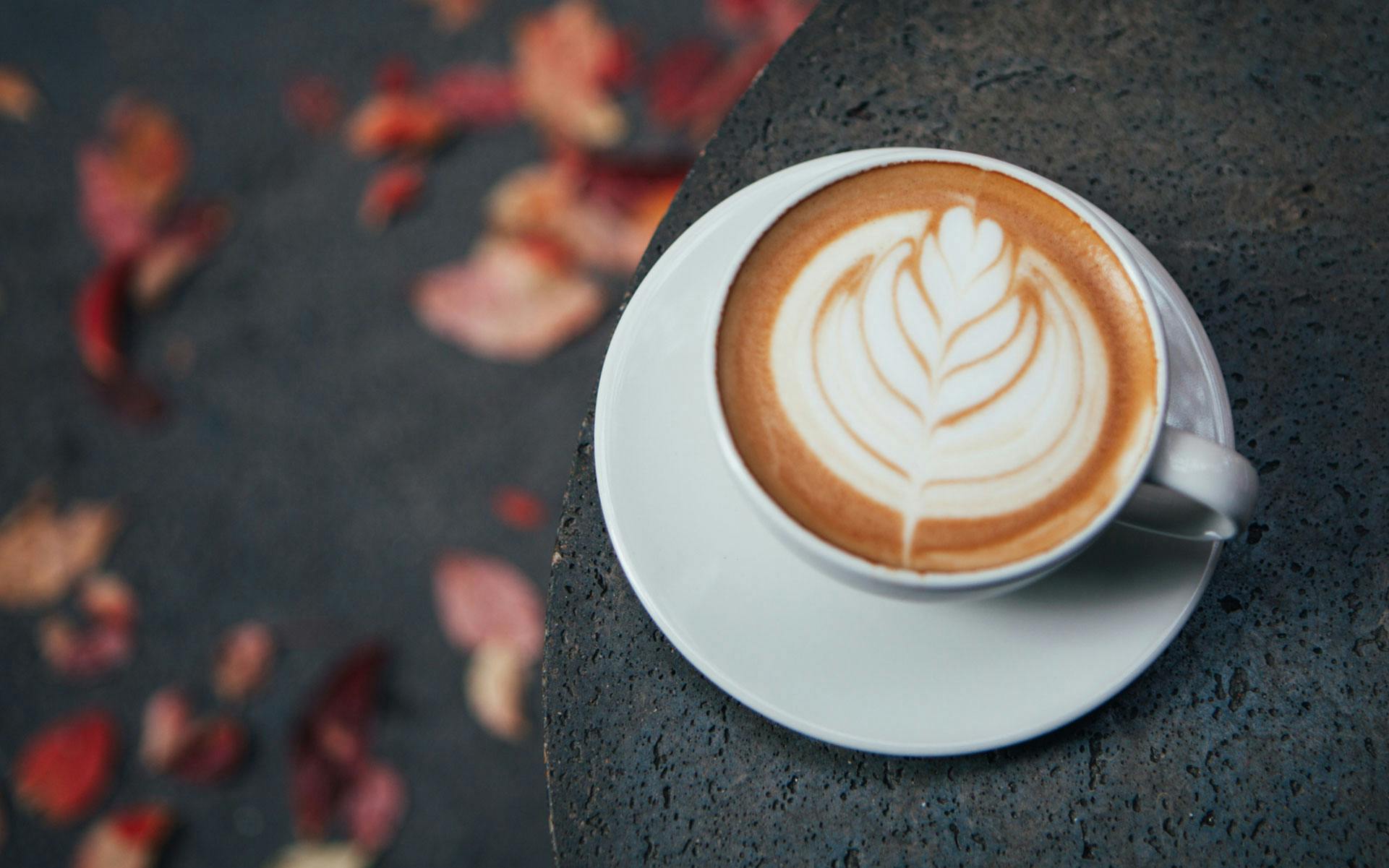 Strains for Your Pumpkin Spice Everything image