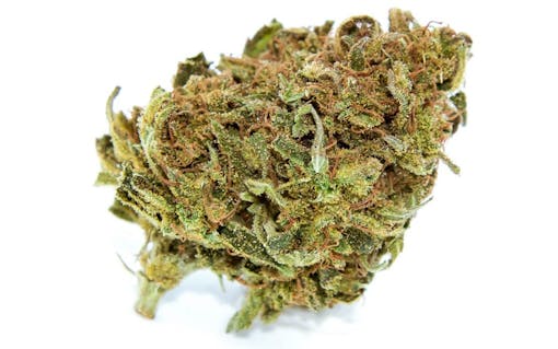 Craft cannabis strain terpenes: Dutch Treat, Terpinolene