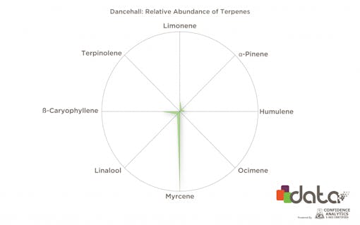cbd terpenes in cannabis strains: Dancehall