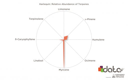 cbd terpenes in cannabis strains: Harlequin