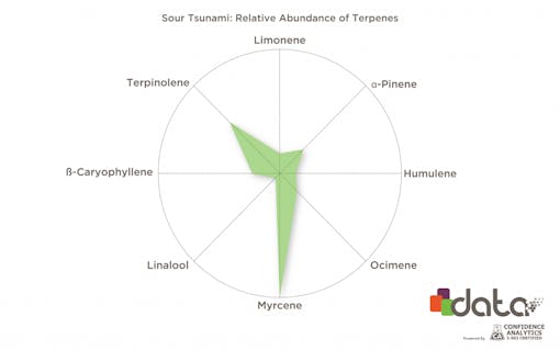 cbd terpenes in cannabis strains: Sour Tsunami