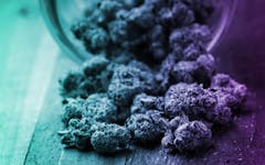 nugs of Oregon craft cannabis