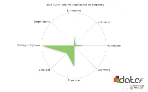 Rare weed strain terpene profiles: Tickle Kush