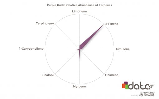 Terpenes for insomnia: a-Pinene in Purple Kush strain