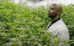 Ricky Williams observes a cannabis grow.(Courtesy of Real Wellness)