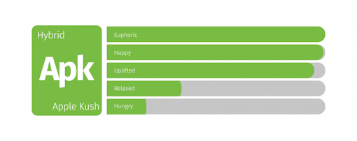 Cannabis strains that taste like apples: Apple Kush