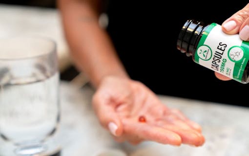 CBD daily dose: CBD capsules for work