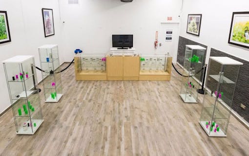 Dispensaries for marijuana in the Caribbean: Caribbean Green in Puerto Rico