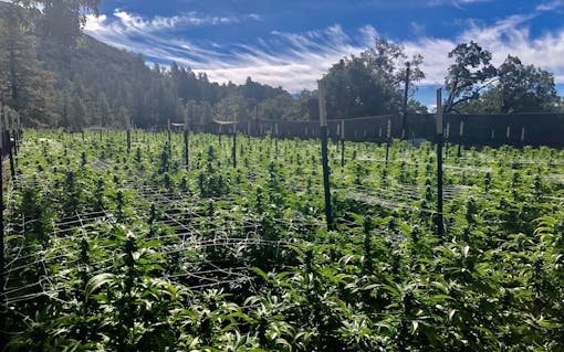 A bumper crop amid a tumultuous year