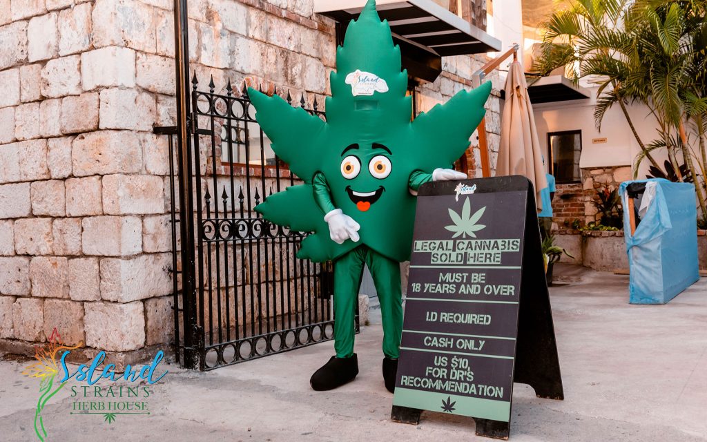 The Best Cannabis Dispensaries in the Caribbean Leafly