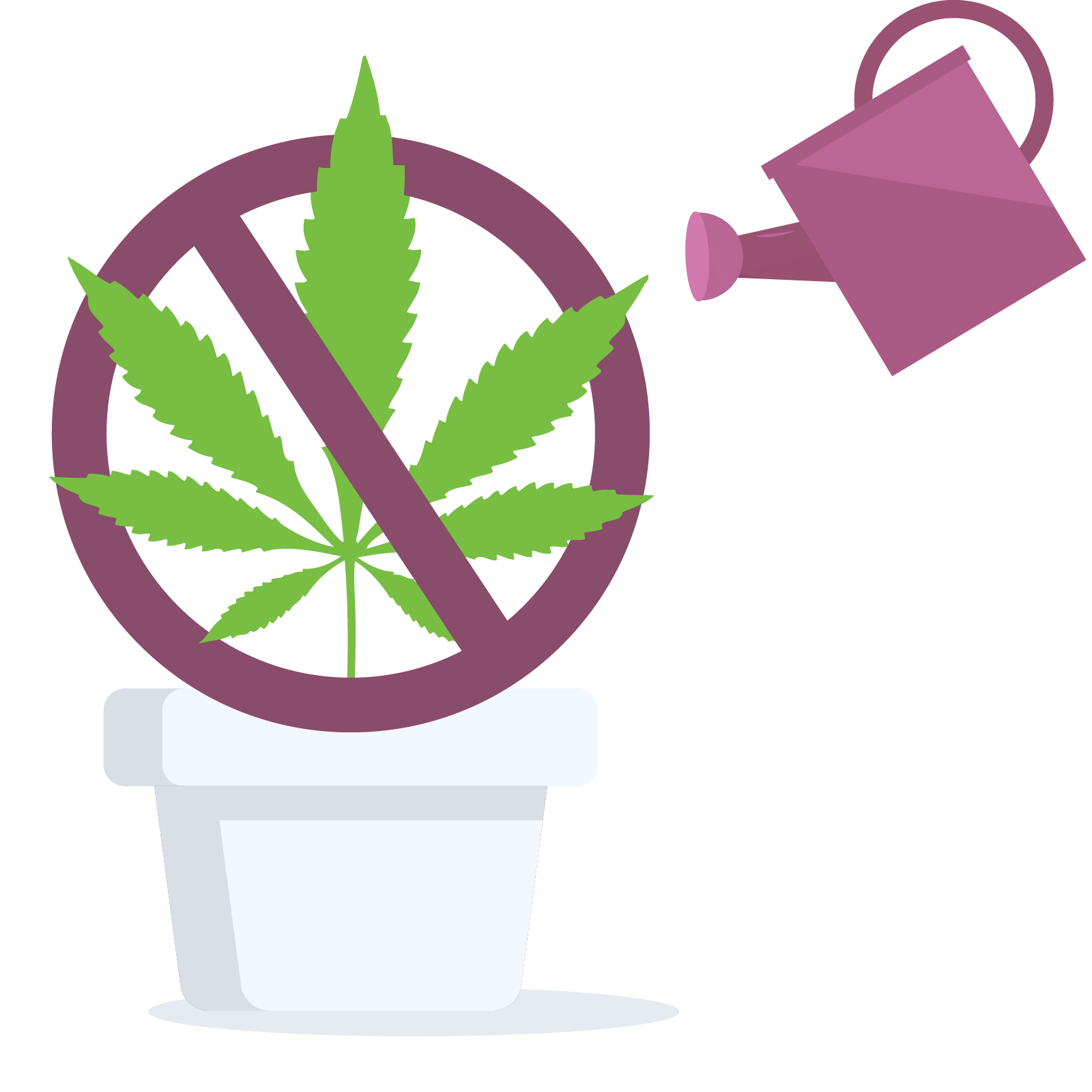 Cannabis home grow is prohibited in Manitoba, Canada