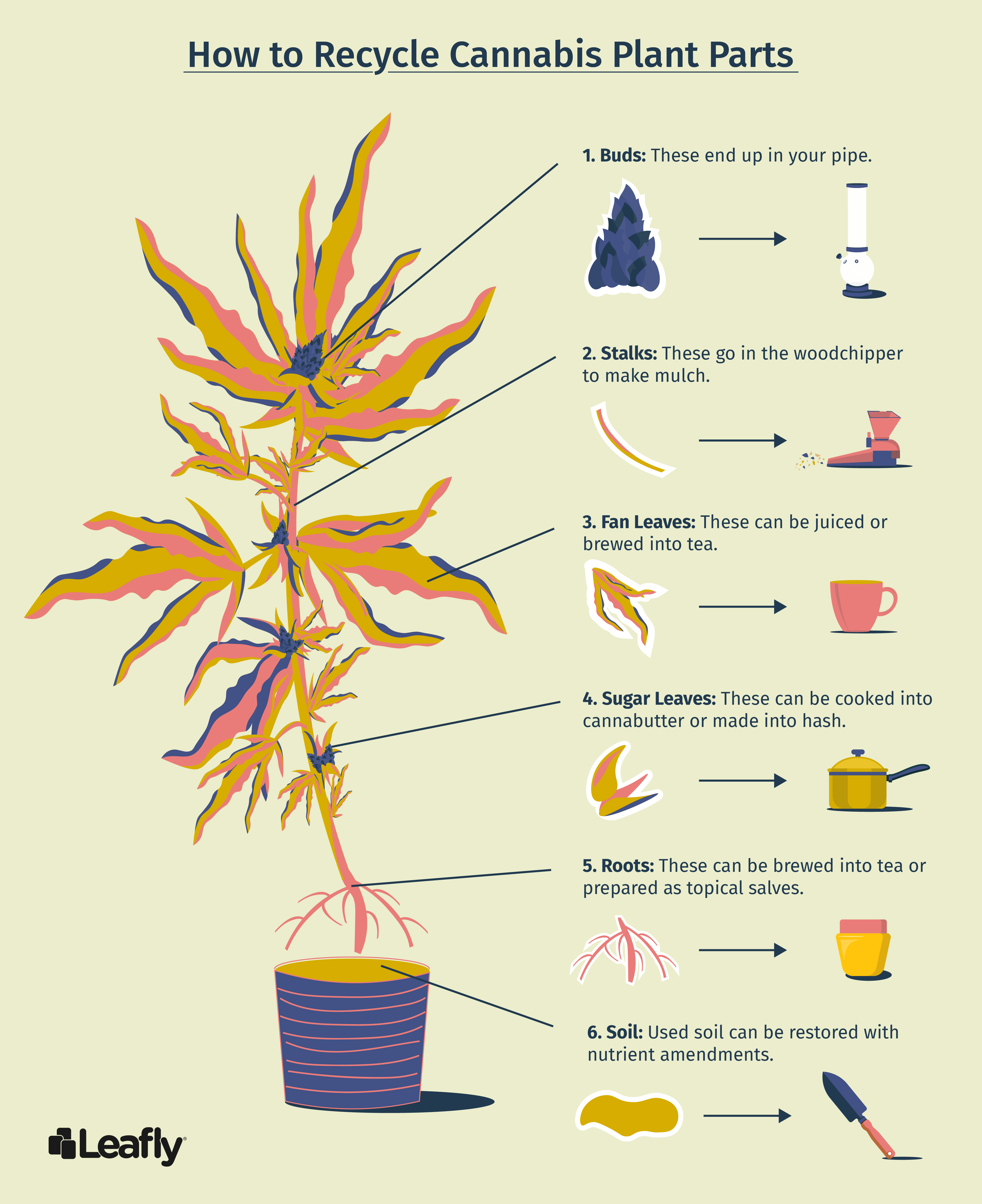 how-to-re-use-cannabis-stalks-soil-roots-and-leaves-leafly