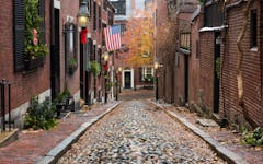 boston cannabis culture header