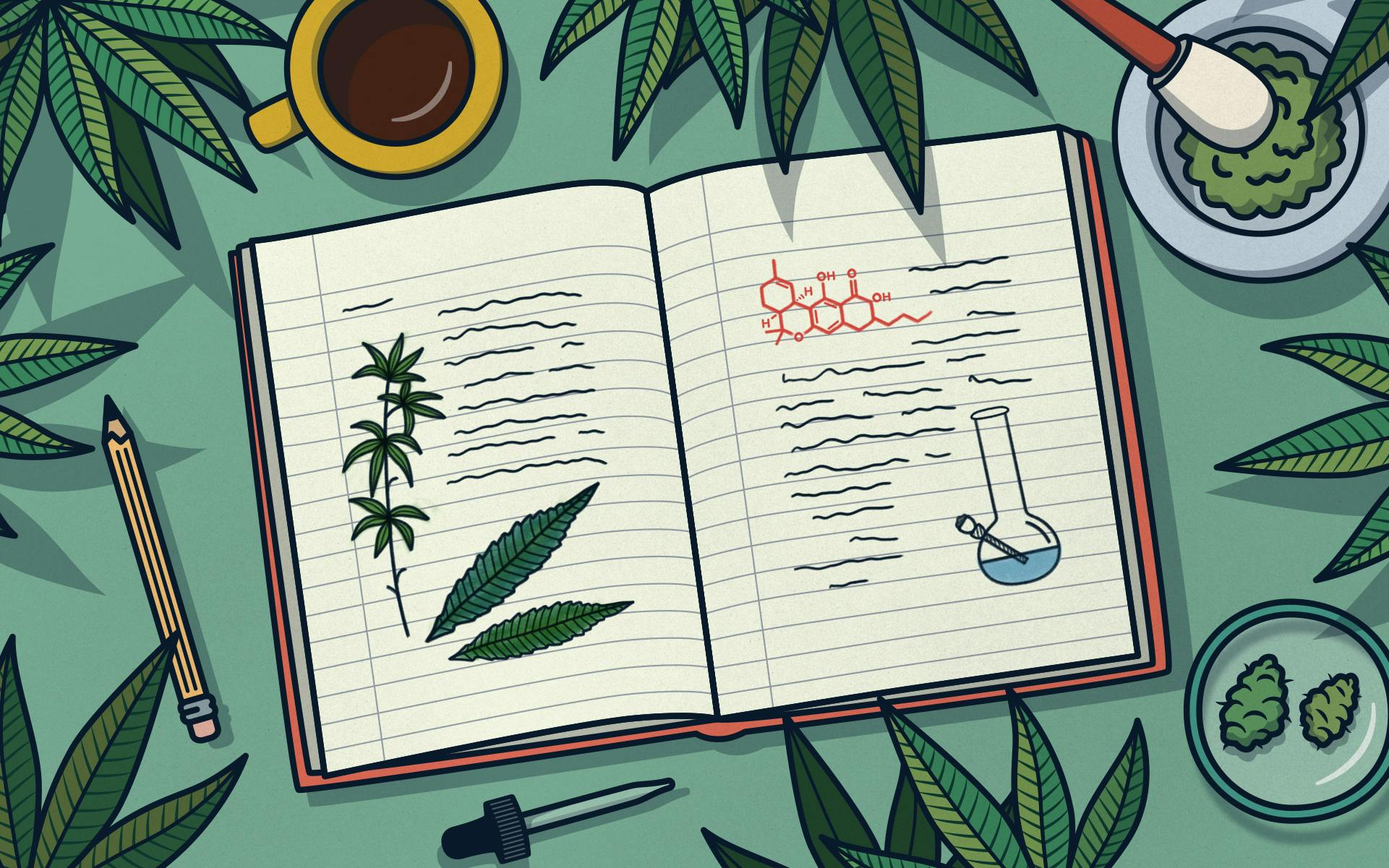 The most impactful cannabis studies of all time image
