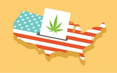 marijuana-election-legalization-vote