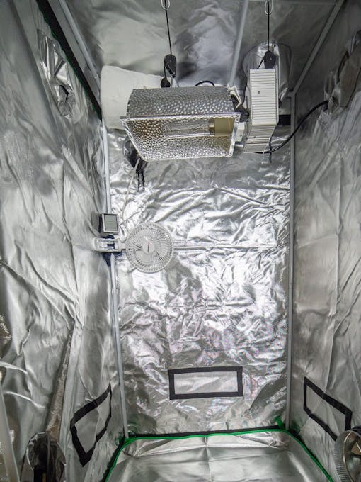 cannabis micro grow tent setup