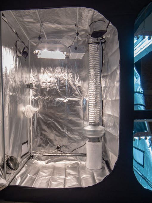 Standard cannabis grow tent setup