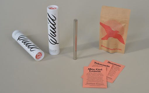 The best CBD vape pens for beginners: Telenova Pen by Quill