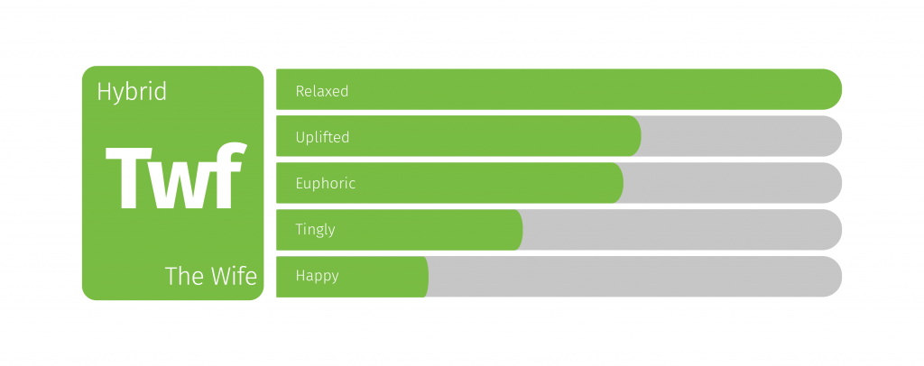 CBD dominant strains: The Wife weed strain