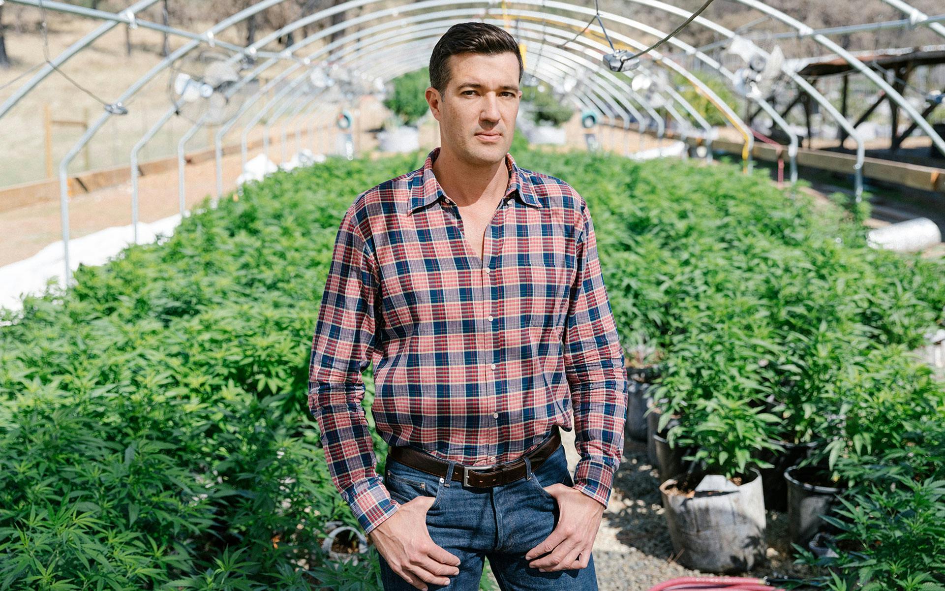 Photos: Harvesting Biodynamic Cannabis in Wine Country image