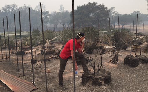 SPARC's Erich Pearson after Nuns Fire. (Courtesy SPARC)