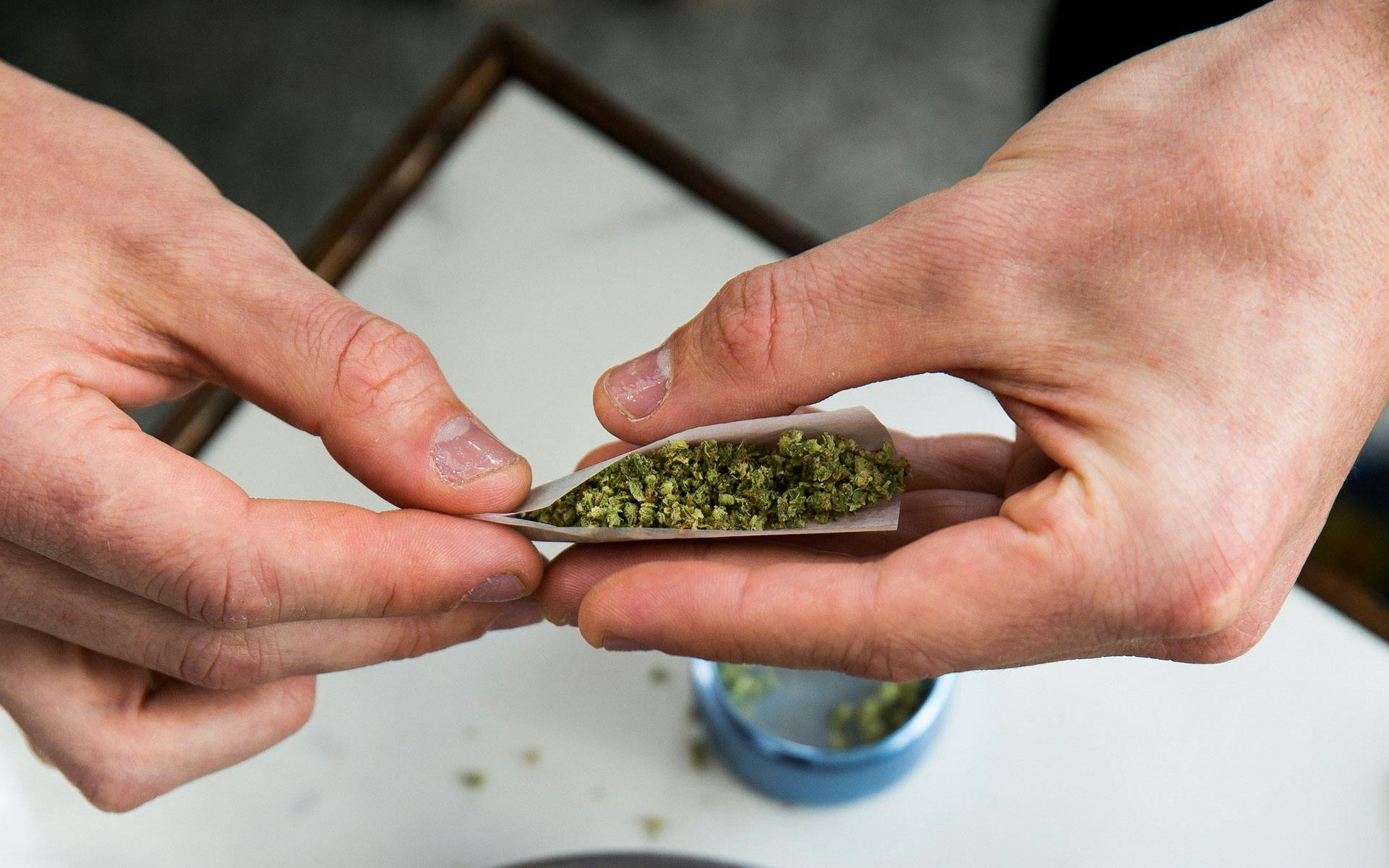 5 cannabis strains for getting cozy on cold days image