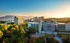 professor of cannabis