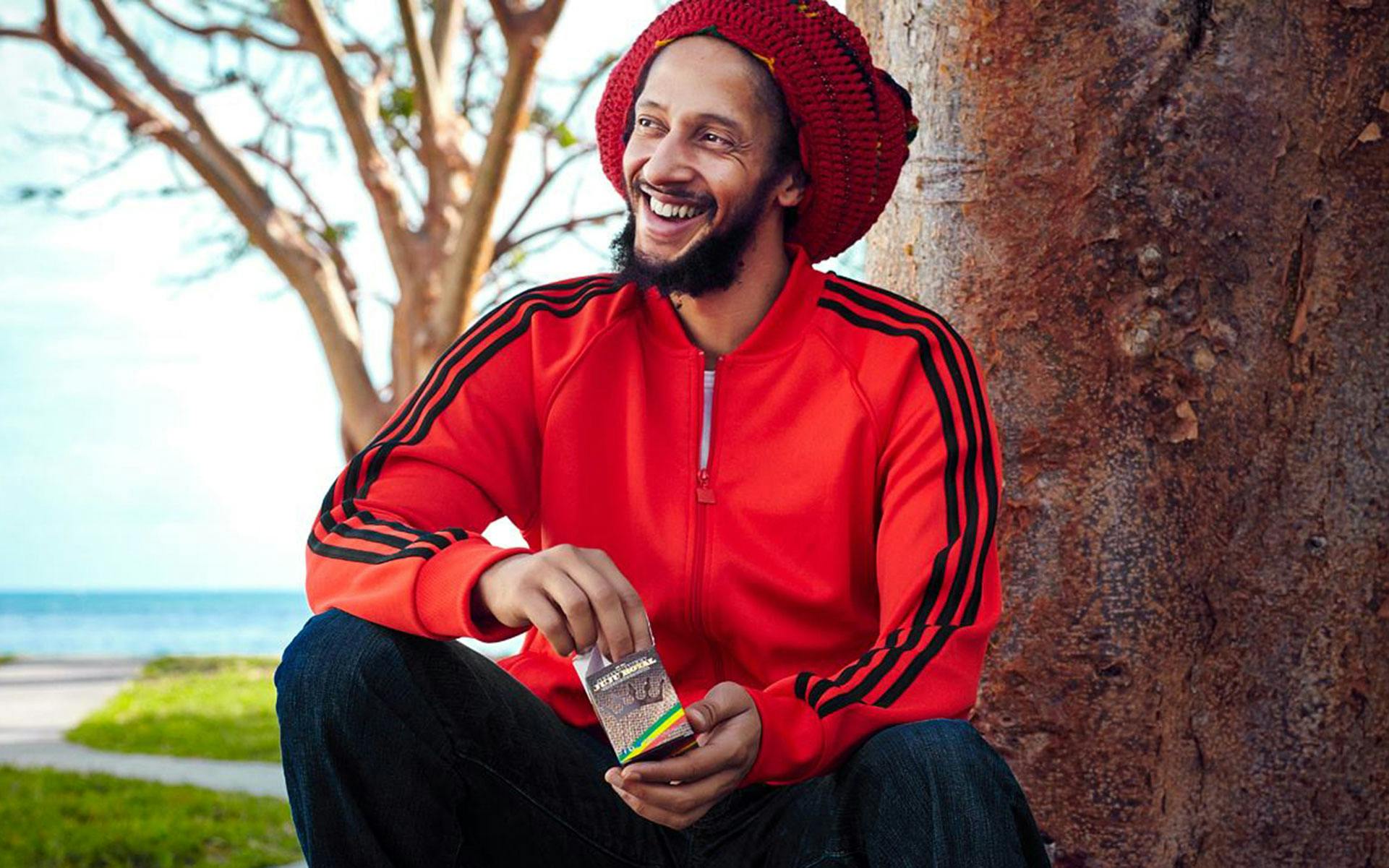 Support Cannabis Brands Giving Back image