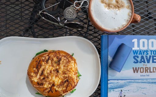 DaVinci vaporizer microdose