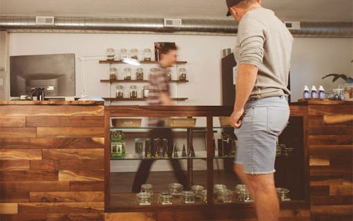 Portland Cannabis Travel Guide: Bridge City Collective