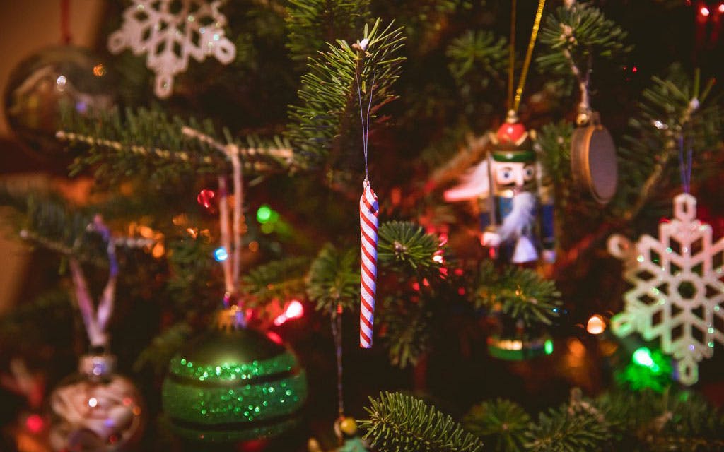 How to introduce weed to your family holiday image