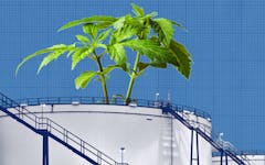 Crude to Cannabis alberta Economy