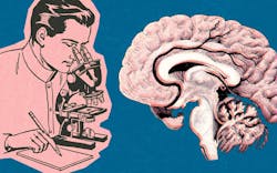 Study: Early cannabis use in pregnancy doesn’t predict autism image