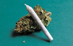 Stronger data does not support The Wall Street Journal's latest hit piece on weed. (agafapaperiapunta/iStock)