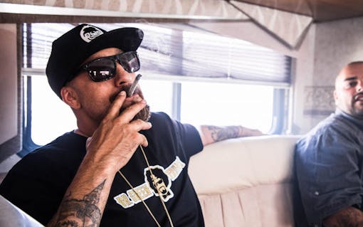The Doctor Is In: Rapper B-Real recaps the top 5 strains of his life for the season debut of The Hash podcast.